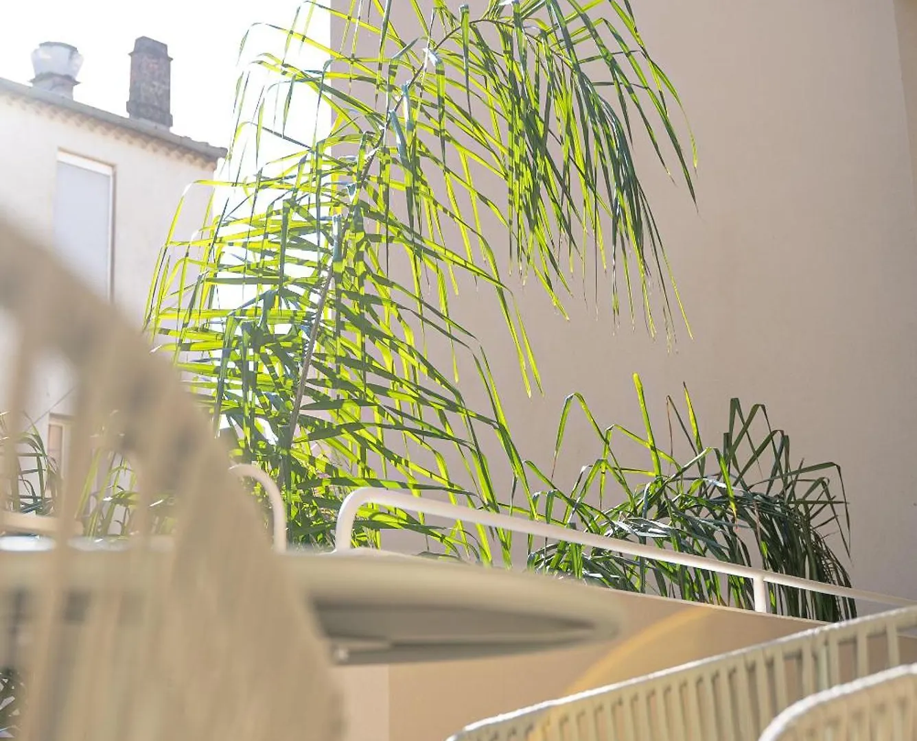 Maison Raphael Studios - Plages, Ville Et Gare A Pied Saint-Raphaël 0*,